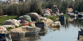 Mehrere große Säcke liegen am Rand eines Gewässers, umgeben von Gras und Pflanzen. Im Hintergrund sind Gebäude sichtbar.