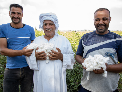Das Bild zeigt einen Feldberater mit zwei Baumwollbauern
