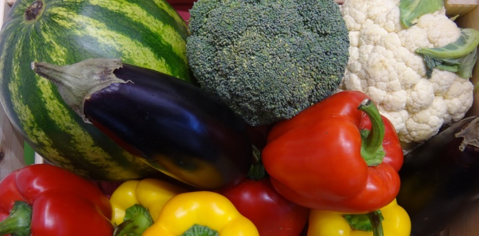 Blick in eine bunte Kiste mit frischem Obst und Gemüse 