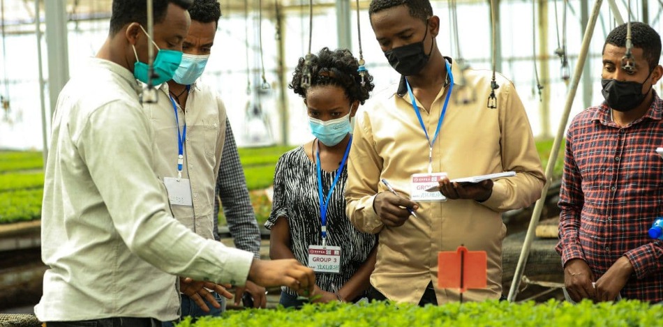 Äthiopische Fachkräfte werden in einem Gewächshaus von einem Ausbilder geschult
