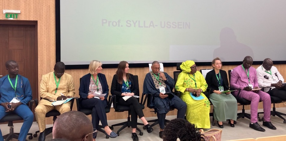 Die deutschen und senegalesischen Projektpartner sitzen in einem Raum auf Bürostühlen während der Eröffnungszeremonie. 